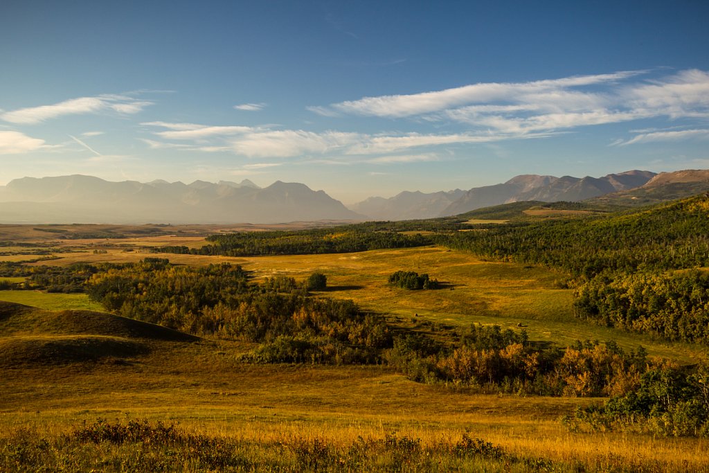 Früh morgens in der Nähe von Pincher Creek, Alberta, Canada.
