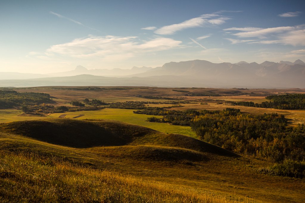 Früh morgens in der Nähe von Pincher Creek, Alberta, Canada.