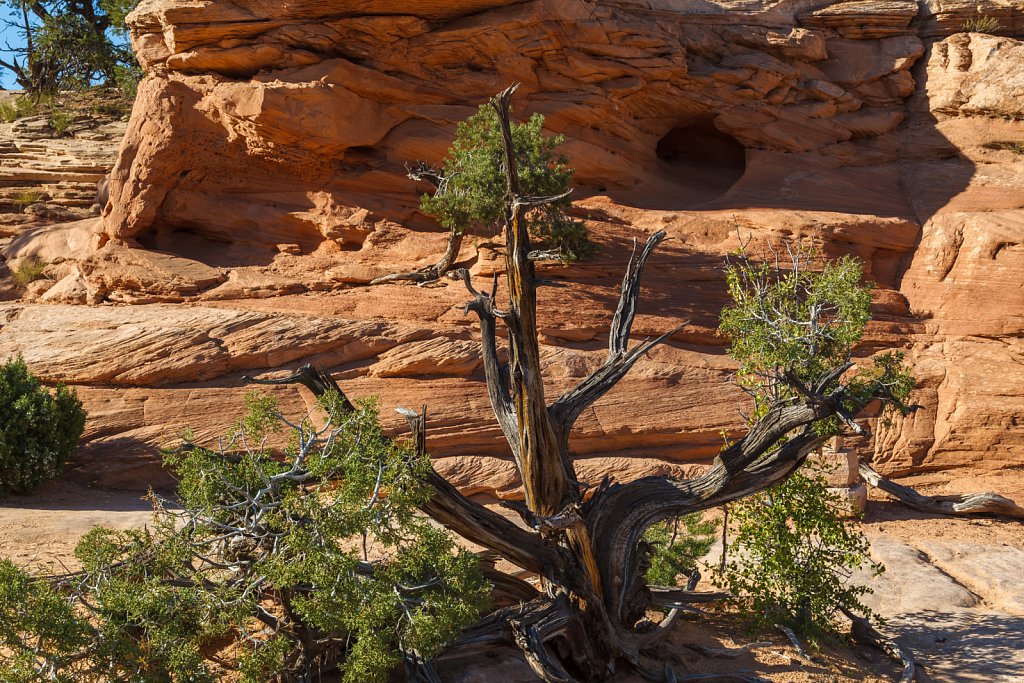 Canyonlands NP